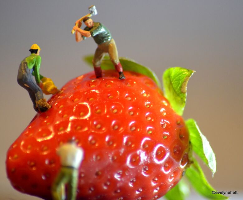 Digitalisierungsberatung für die Konsumgüterindustrie